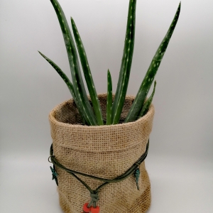 cache pot, toile de jute, pampille, nubuck